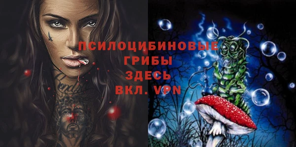 первитин Богданович