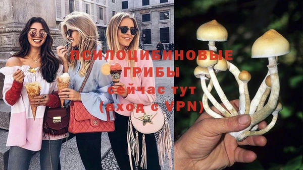 первитин Богданович