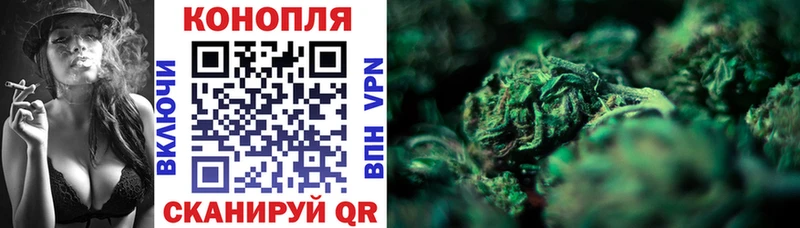 как найти наркотики  Рубцовск  Каннабис планчик 